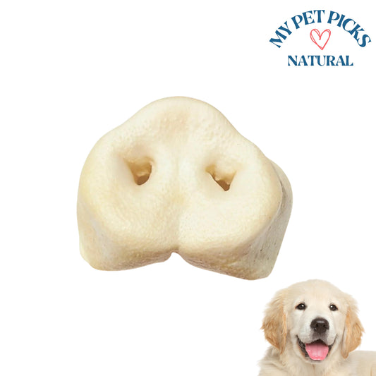 Puffed Pig Snout